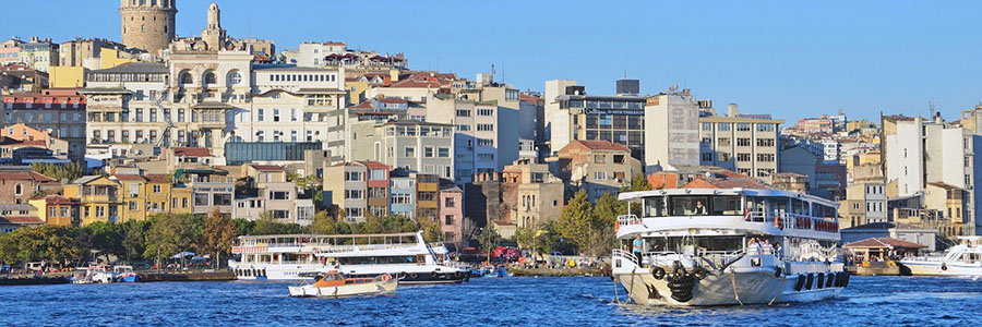 Istanul Bosphorus Cruise
